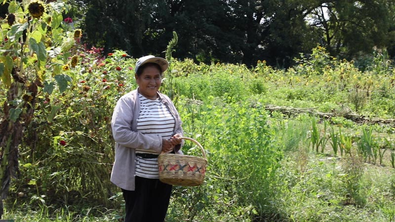 Agripina with basket on Decker Farm