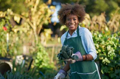 Black Farmers United website