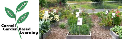 Cornell Garden Based Learning