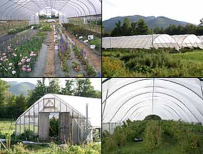 Cornell High Tunnels