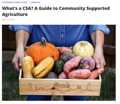 Hunter College, What is a CSA?