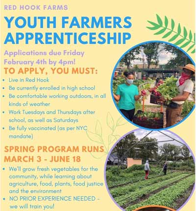 Red Hook Farms Youth Farmers Apprenticeship