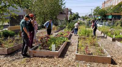 United Community Center Urban Farms