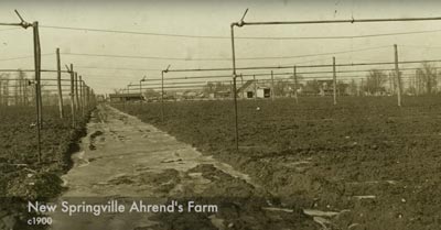 When Staten Island Farms Fed Manhattan