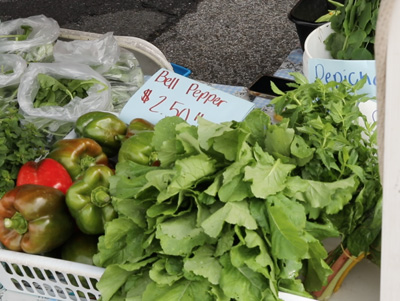 Staten Island Family Farm booth at St. George Greenmarket,