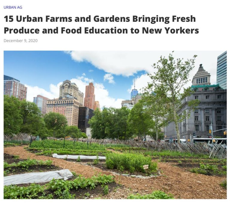 Hunter College Urban Farms article