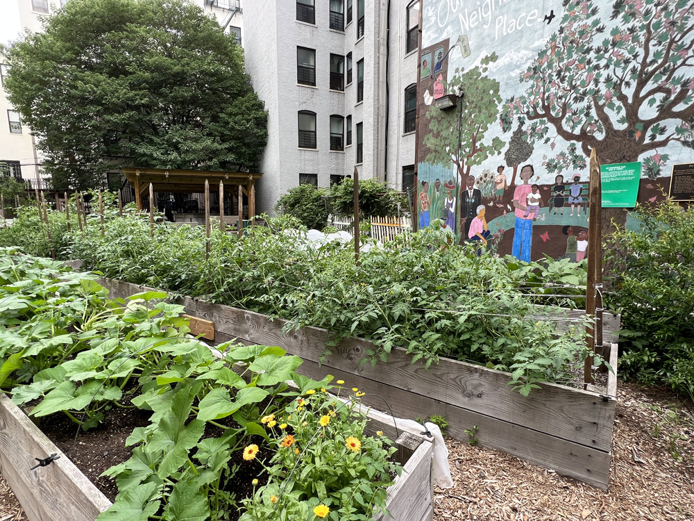 Harlem Grown, West 127th Street Farm